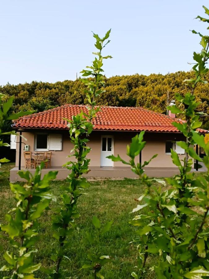 Billy'S House Villa Kalampáka Buitenkant foto